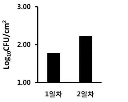 대장균 바이오필름 표면 부착균수