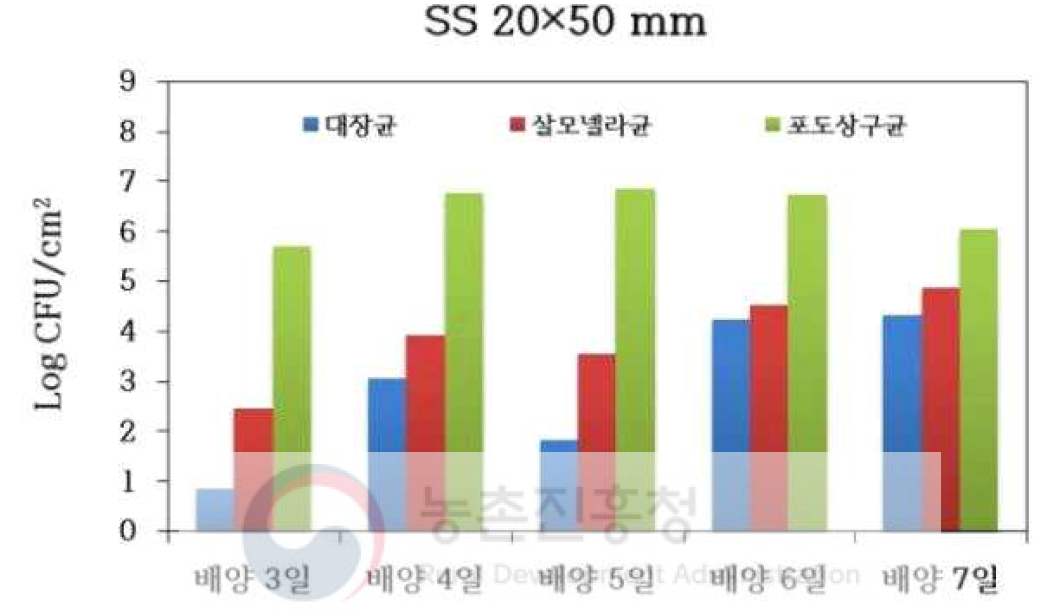 SS 표면의 바이오필름에 형성된 세균 수 평균