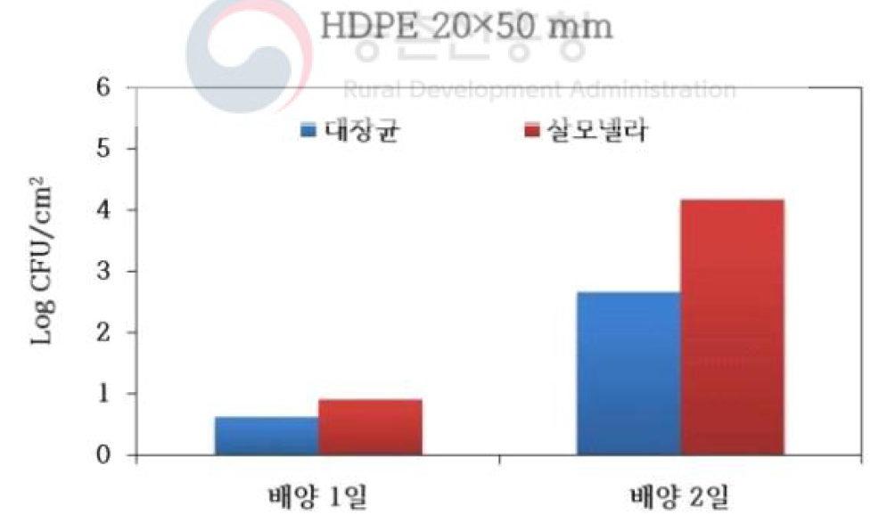 HDPE 표면의 바이오필름에 형성된 세균 수 평균