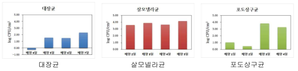 스테인리스 스틸 표면의 바이오필름에 형성된 세균 수 평균