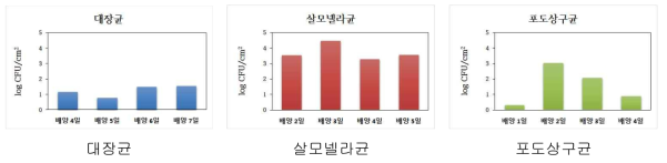 HDPE 표면의 바이오필름에 형성된 세균 수 평균