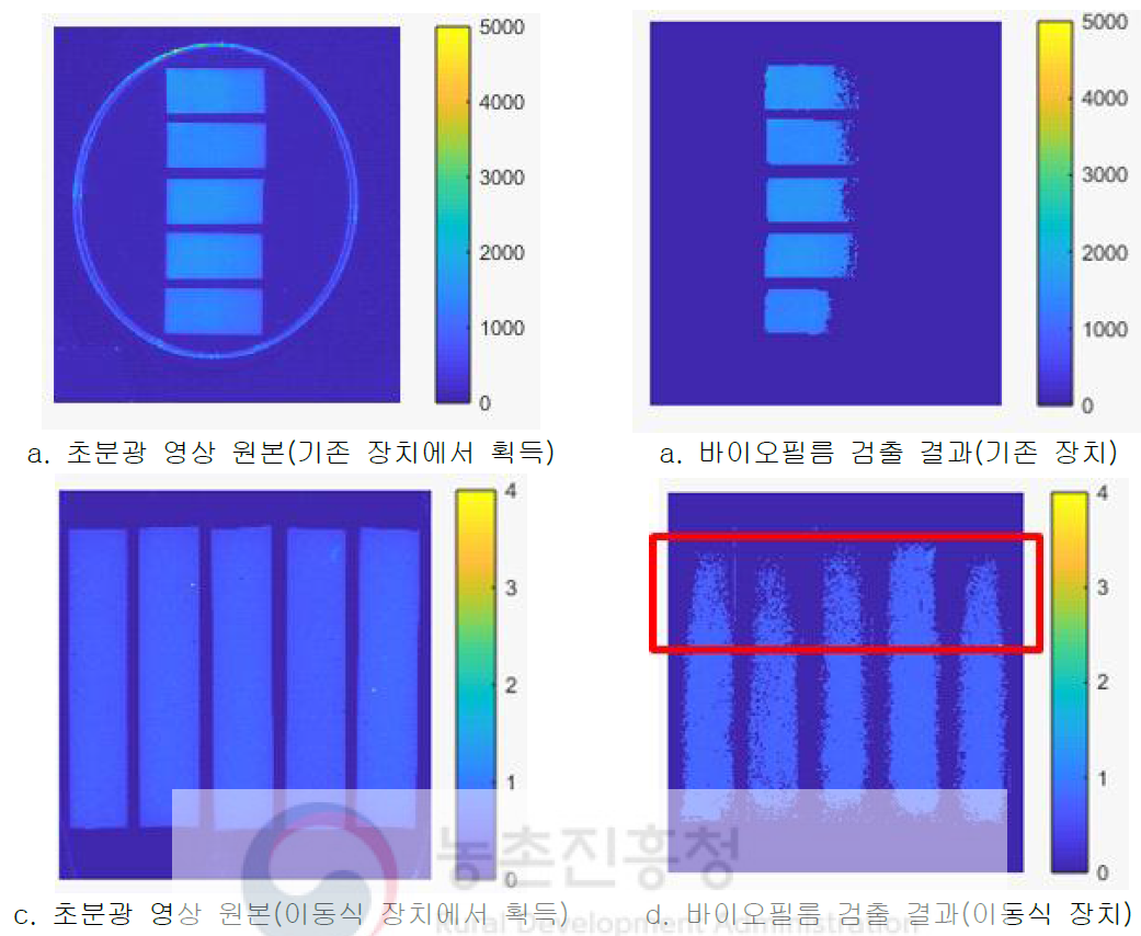 바이오필름 검출 결과