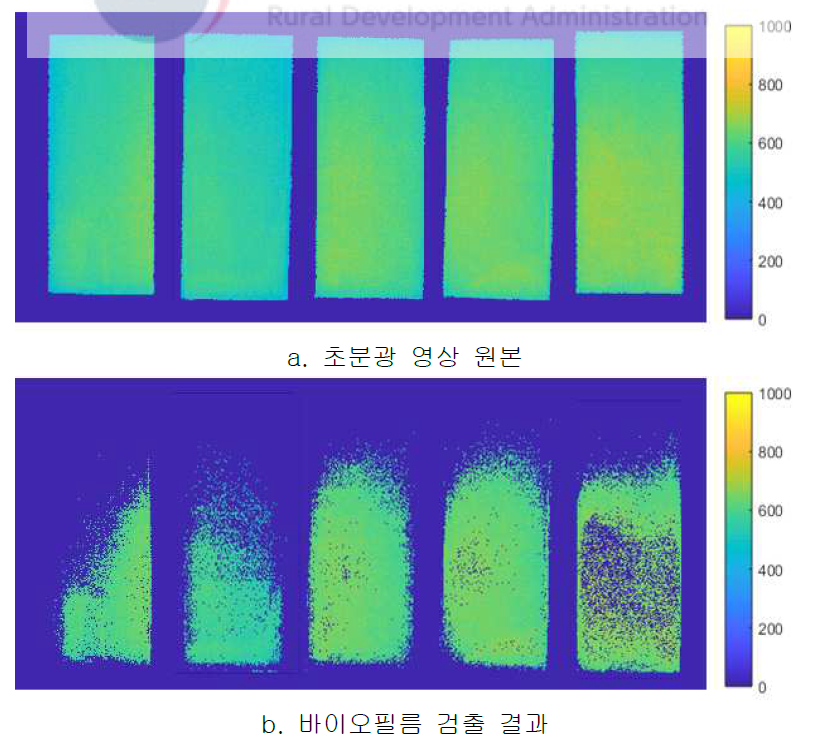 HDPE 표면 대장균 바이오필름 검출 결과(휴대용 형광영상 측정 장치 사용)