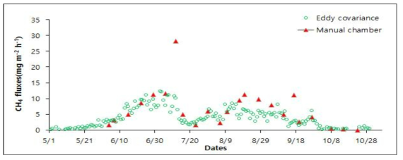 에디공분산과 챔버에 의한 일 평균 메탄 플럭스 변화 비교