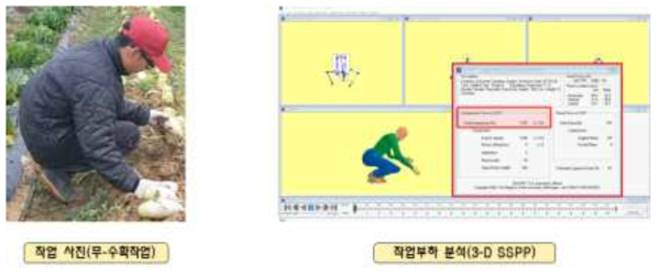 작업부하 분석 예시(무, 수확작업)