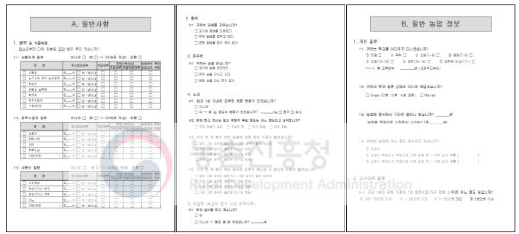 기초 조사 설문지