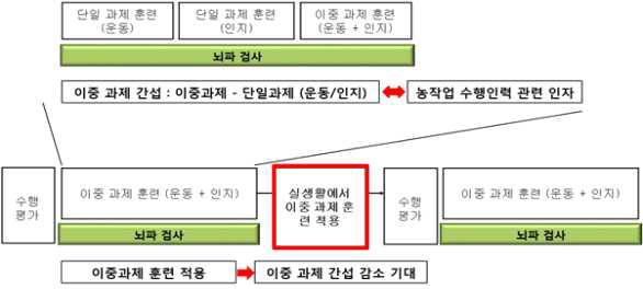 이중 과제 훈련 프로그램의 적용