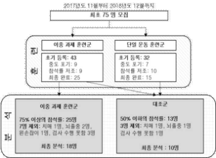 효과 검증을 위한 연구 대상자 분류