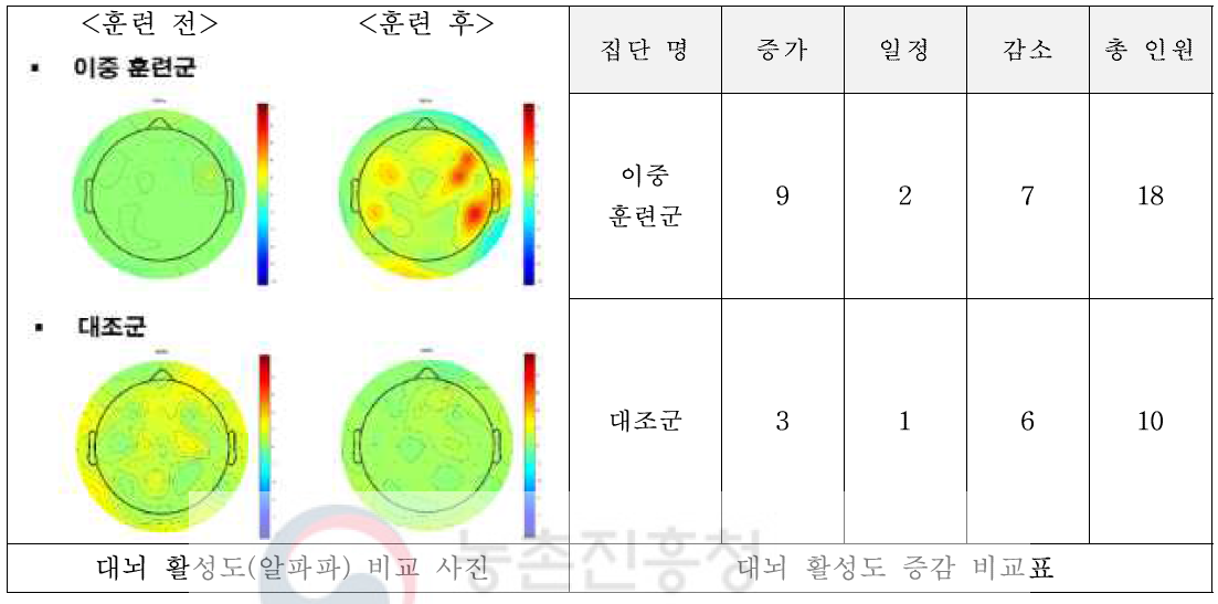 집단별 대뇌 활성도 전-후 비교