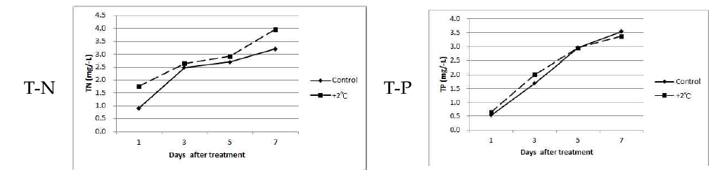 상승온도(+2℃) 처리로 볏짚의 총인산(T-P)의 용출
