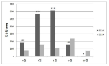 2019년, 2020년의 강우량
