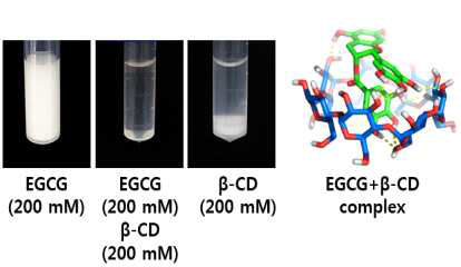 EGCG 및 β-cyclodextrin의 용해도 및 복합체.