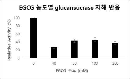 EGCG 농도별 glucansucrase 저해반응 확인