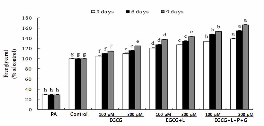 3T3-L1 분화세포 이용 EGCG 나노에멀젼의 지방 분해촉진 효과