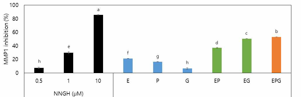 EGCG, 유화제 조합별 MMP1 저해 활성 측정
