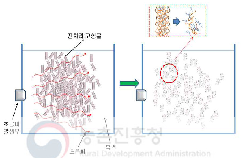 초음파 처리 효과 모식도