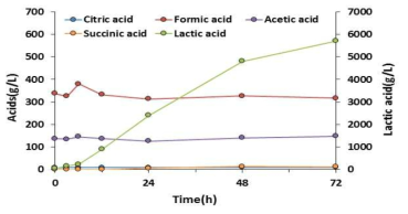 당화 공정 시간에 따른 유기산 분석 결과