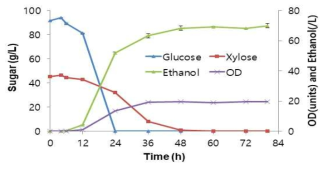S. cerevisiae DXS 균주의 발효율