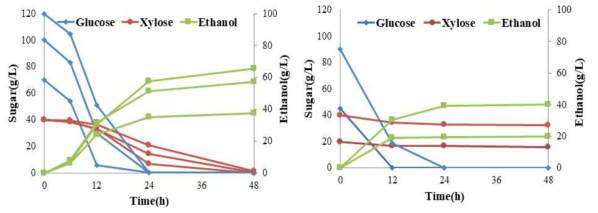 에탄올 발효균주별(좌: DXS, 우:CHY1011) 발효특성 비교