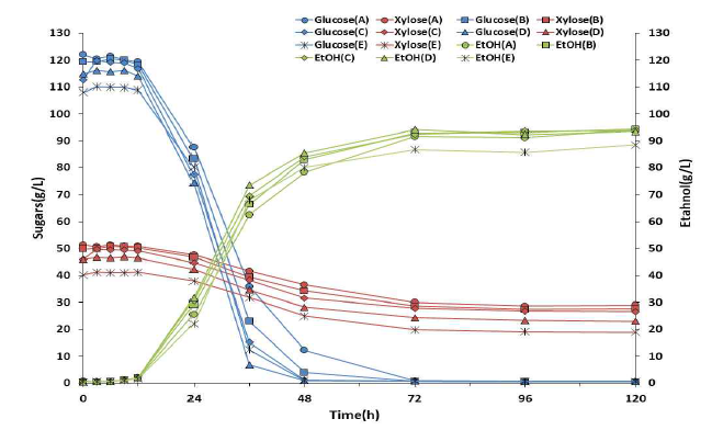 발효시간에 따른 질소원 농도별 당 소비 및 에탄올 생산