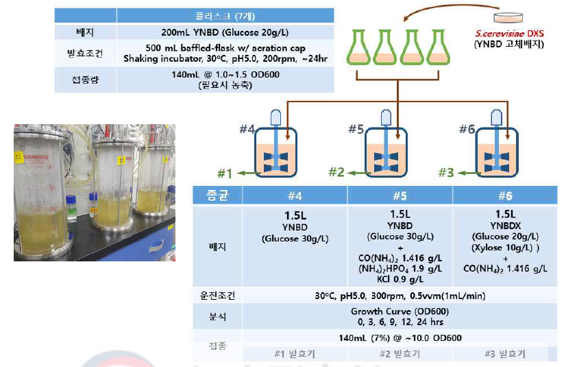 무기영양원별 종균배양 조건