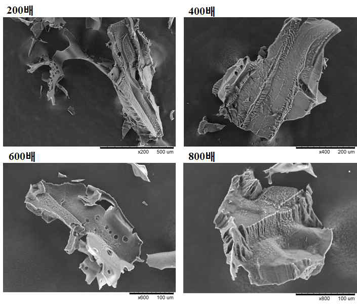 동결건조 된 전처리 흑액의 SEM 사진