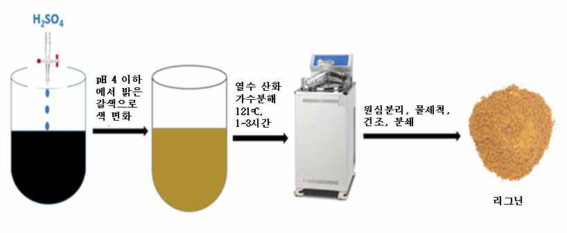 흑액으로부터 황산 및 가수분해를 통한 리그닌 회수 공정도