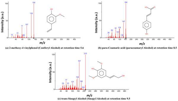 GC/MS 분석에 의한 리그닌 모노머 구조 비교