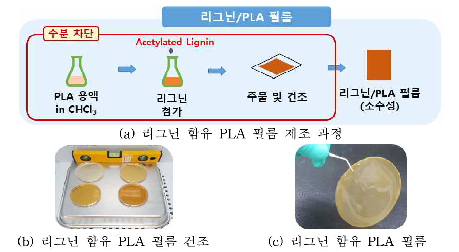 리그닌 함유 PLA 필름 제조