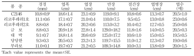 2배체 수박 수직유인재배에 따른 초기 생육특성(정식 후 30일)