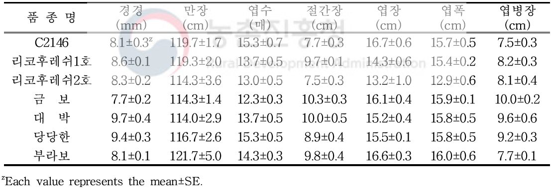 3배체 수박 수직재배를 위한 수분수 품종별 초기생육상황(정식 후 30일)