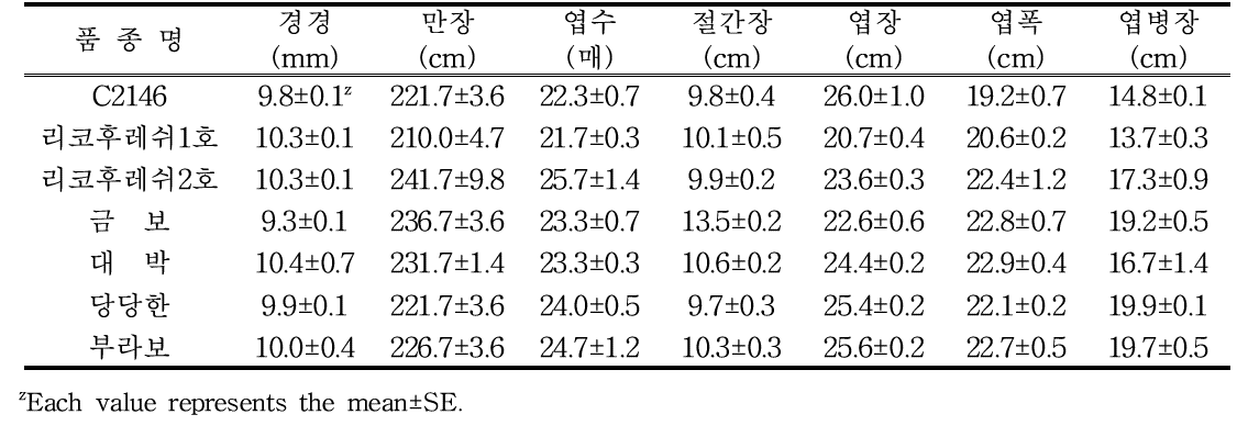 3배체 수박 수직재배를 위한 수분수 품종별 후기생육상황(수확 10일 전)