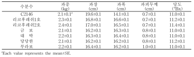 3배체 수박 수직재배를 위한 수분수 품종별 과실특성