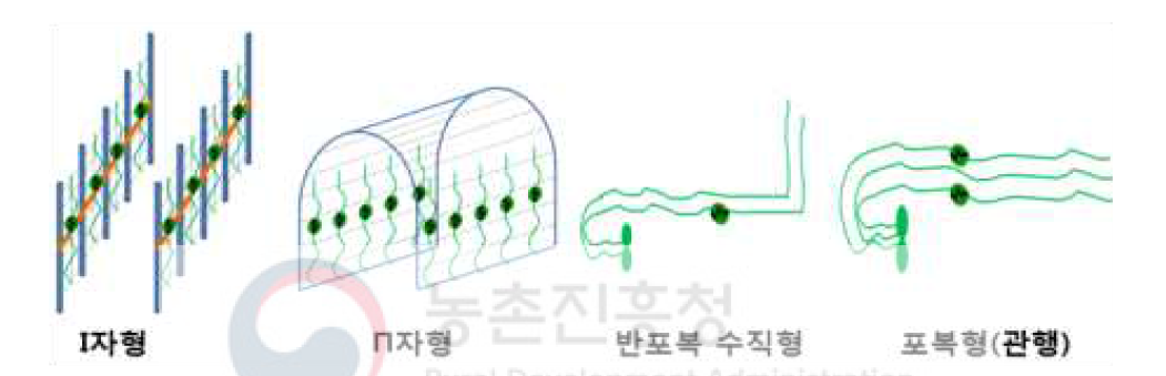 수박 수직재배를 위한 지주유형