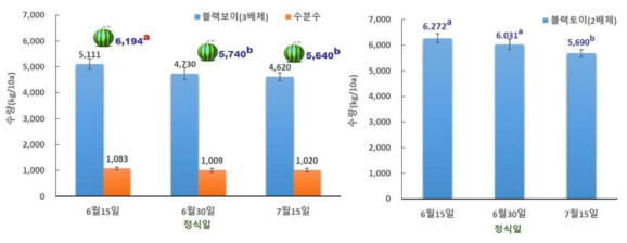 고온기 소형과 수박 수직재배 시 정식시기별 수량특성