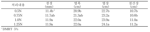 수박 정식 후 60일 생육상황