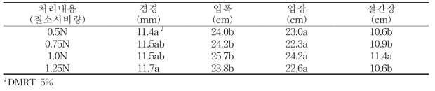 수박 초기 생육상황(정식후 60일)