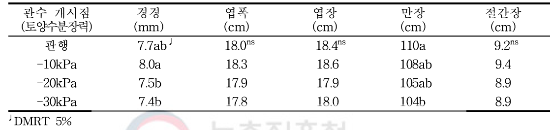 수박 정식 후 30일 생육상황