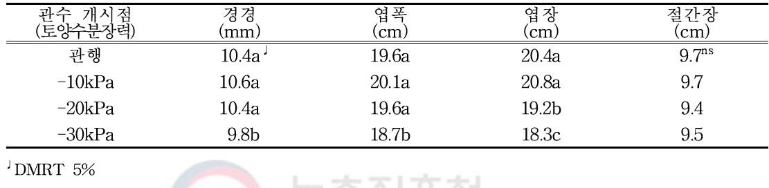 수박 정식 후 60일 생육상황