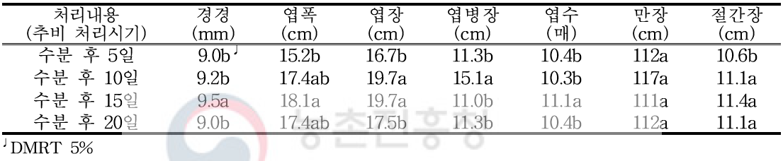 수박 정식 후 30일 생육특성(블랙보이)