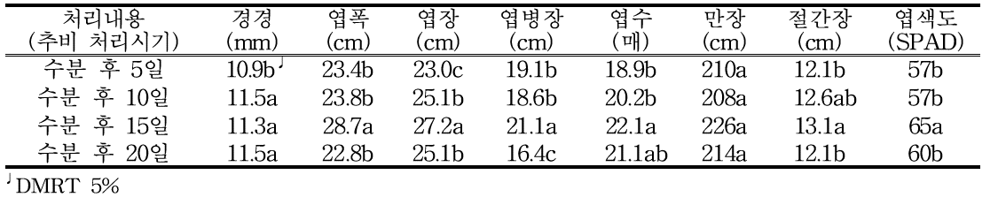 수박 정식 후 60일 생육특성(블랙보이)