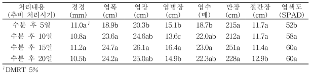 수박 정식후 60일 생육특성(수분수:C2146)