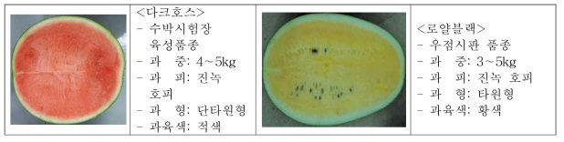 시험품종 다크호스와 로얄블랙의 특성