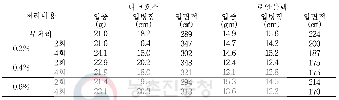 칼슘처리 완료 후 잎 생육 특성