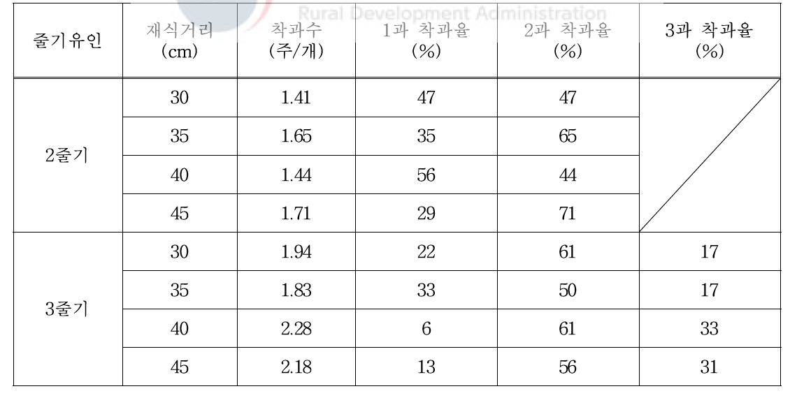 1주 2과 생산 줄기유인 및 재식거리에 따른 로얄블랙 품종 착과특성