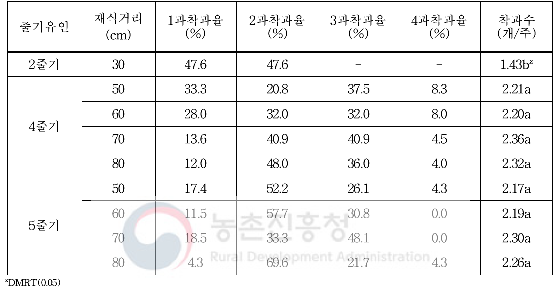 1주 4과 생산을 위한 줄기유인 및 재식거리에 따른 다크호스 품종 착과특성