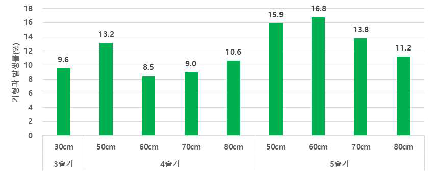 줄기유인 및 재식거리에 따른 로얄블랙 품종의 기형과 발생률