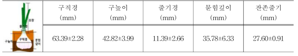 공시작물 생육조사