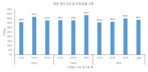 양파 기계정식시 두둑폭과 재식거리별 구중