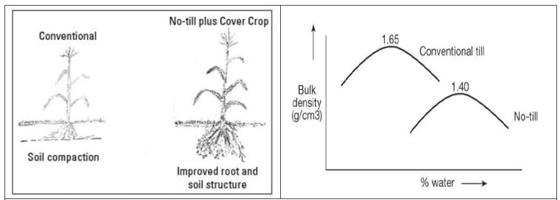 무경운을 통한 토양 물리성 개선효과 (Tomas et al., 1996)